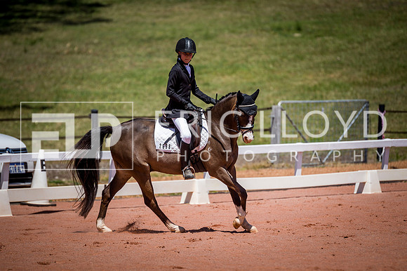 PatronsCup-836