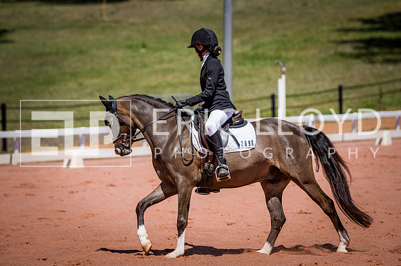 PatronsCup-842