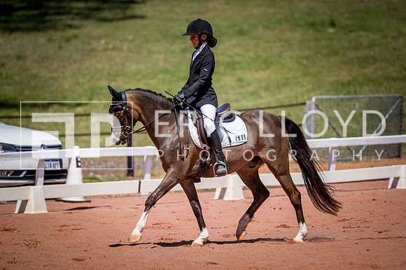 PatronsCup-851