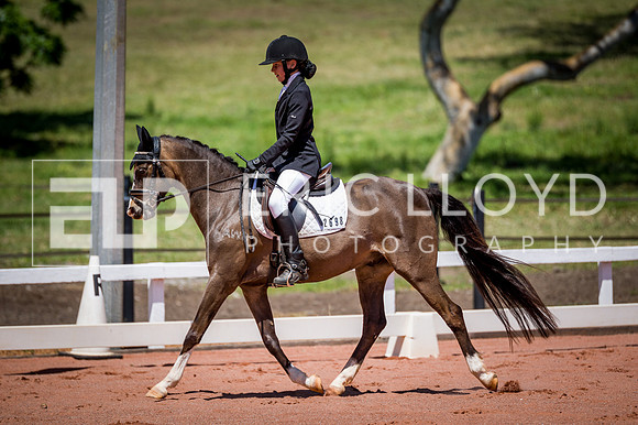 PatronsCup-853
