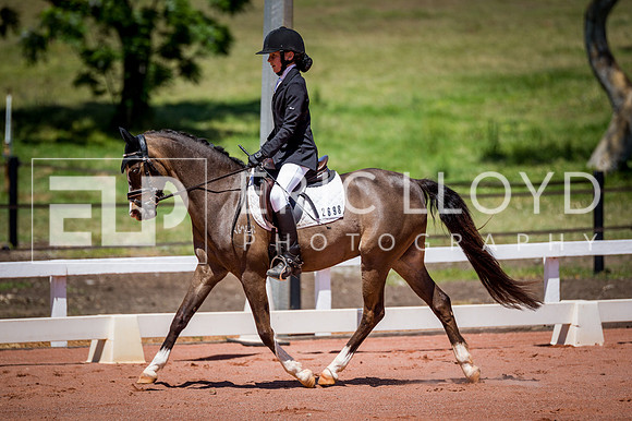 PatronsCup-855