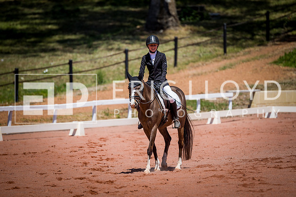 PatronsCup-861