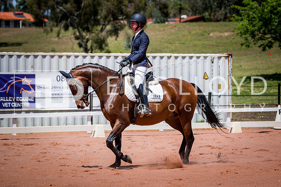 PatronsCup-1075