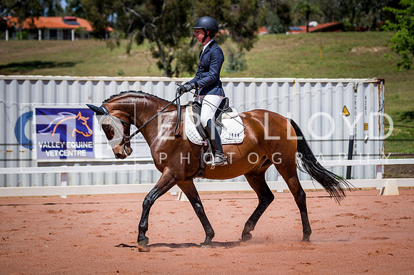 PatronsCup-1076