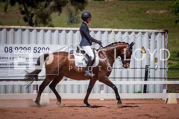 PatronsCup-1081