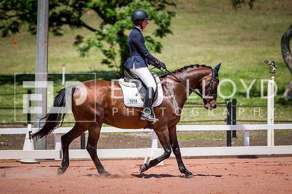 PatronsCup-1084