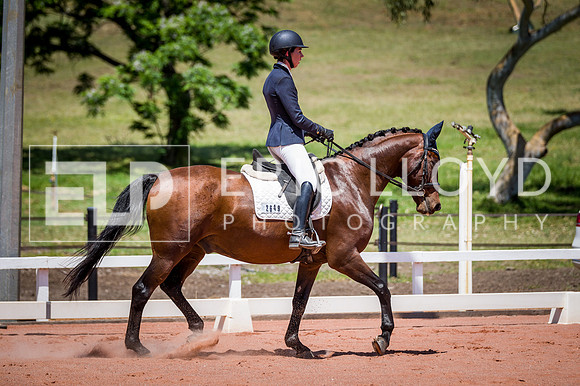 PatronsCup-1085