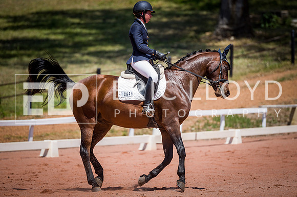 PatronsCup-1104