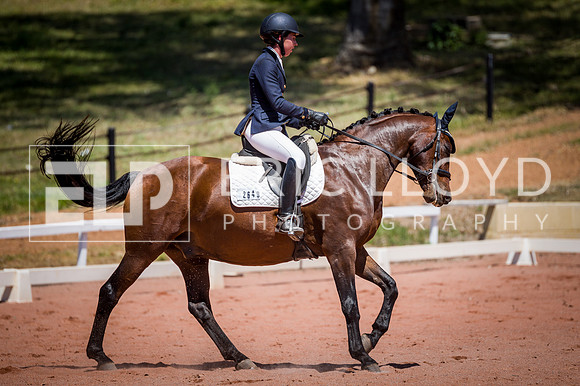 PatronsCup-1105