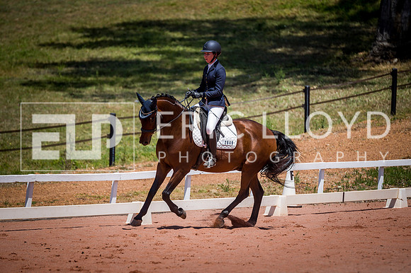 PatronsCup-1107