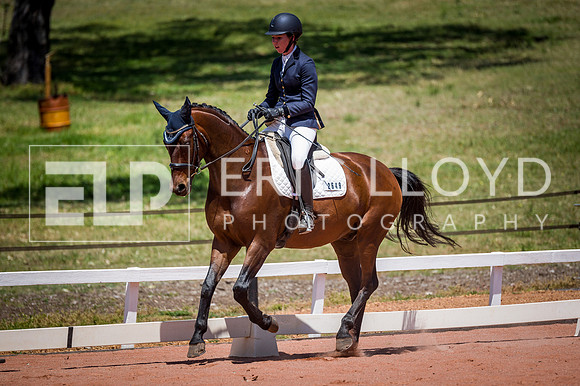 PatronsCup-1113