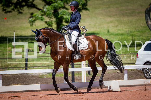 PatronsCup-1116