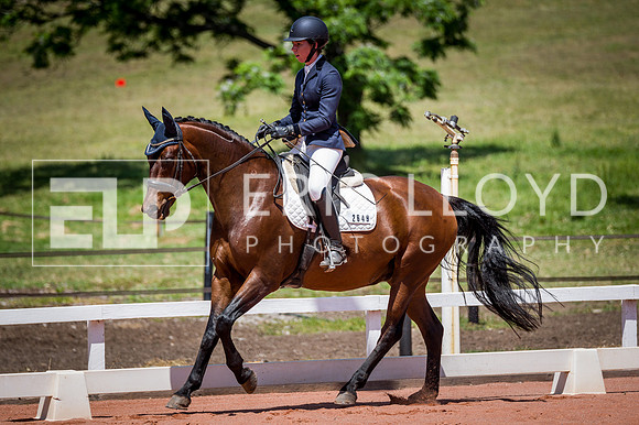 PatronsCup-1117