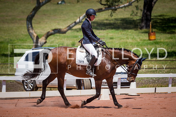 PatronsCup-1123