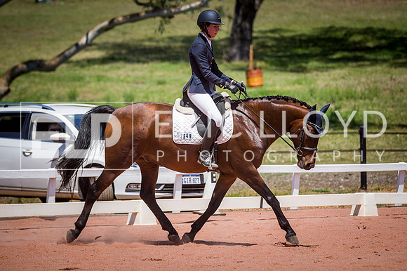 PatronsCup-1125