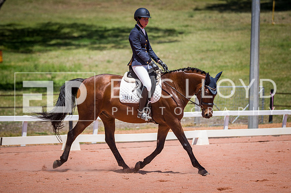 PatronsCup-1126