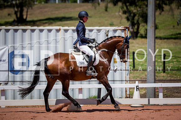PatronsCup-1130