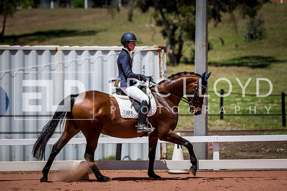 PatronsCup-1131