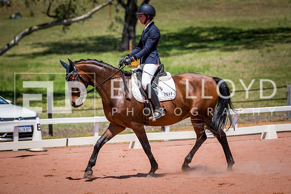 PatronsCup-1151