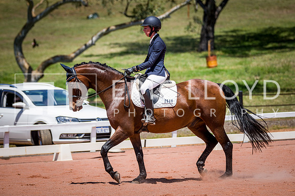 PatronsCup-1153