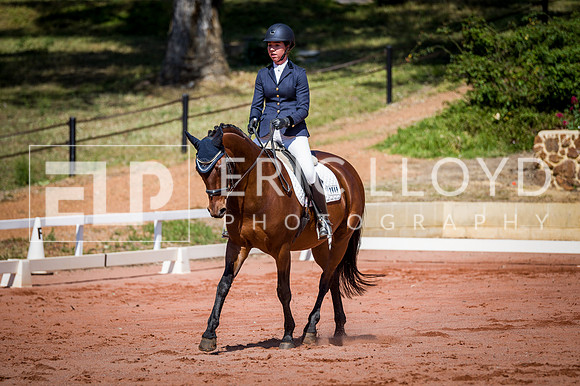 PatronsCup-436