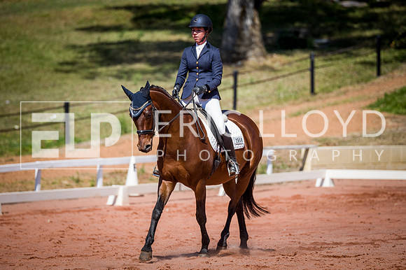 PatronsCup-438