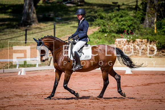 PatronsCup-446