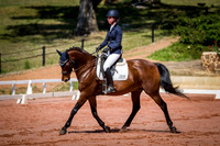 PatronsCup-448