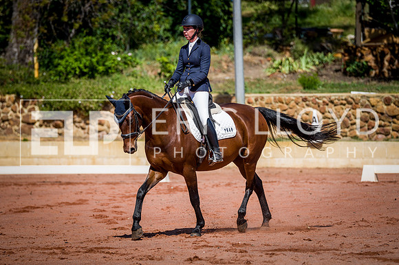 PatronsCup-452