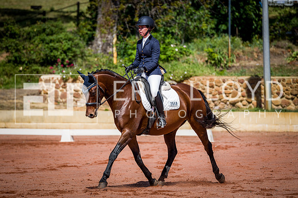 PatronsCup-453