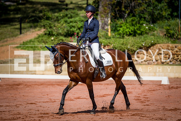 PatronsCup-454