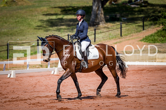 PatronsCup-455