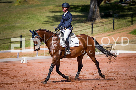 PatronsCup-456