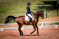 PatronsCup-459