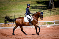 PatronsCup-460