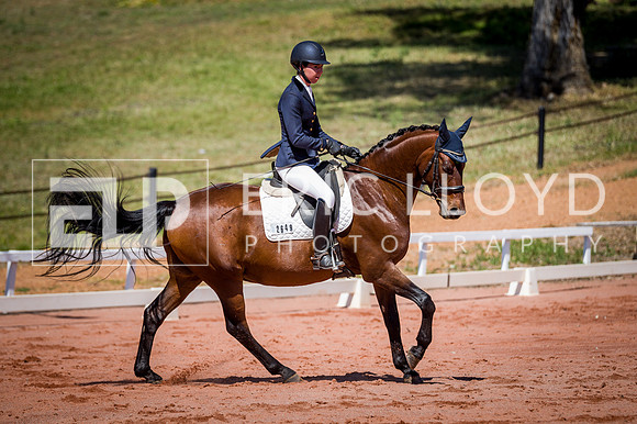 PatronsCup-460