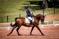 PatronsCup-461