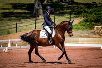 PatronsCup-462