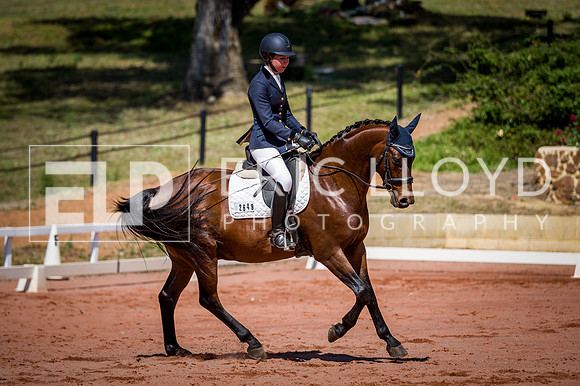 PatronsCup-462