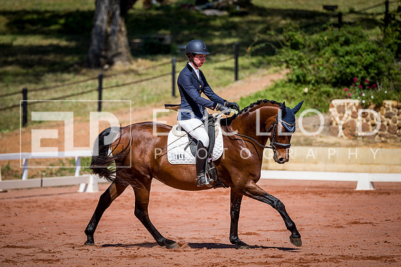 PatronsCup-463