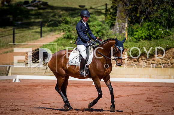 PatronsCup-464