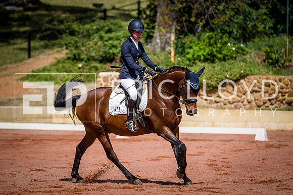 PatronsCup-465