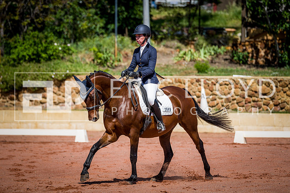 PatronsCup-469