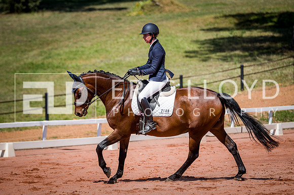 PatronsCup-478