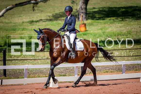 PatronsCup-488