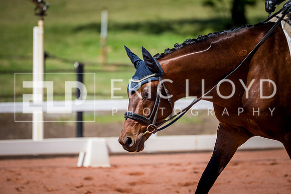 PatronsCup-494