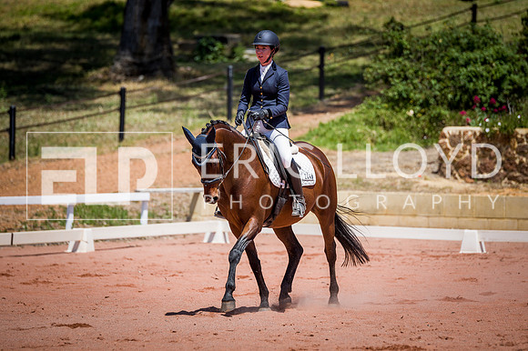 PatronsCup-1155
