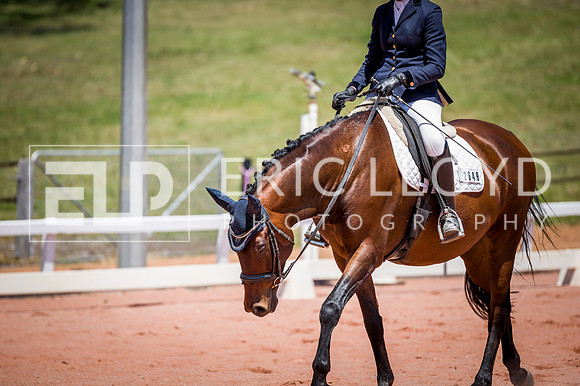 PatronsCup-1161