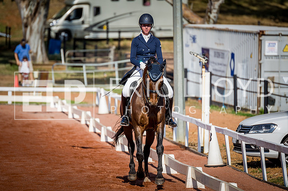 PatronsCup-2844