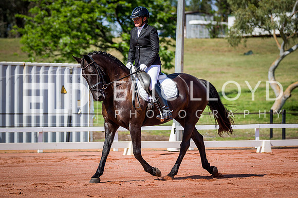 PatronsCup-264